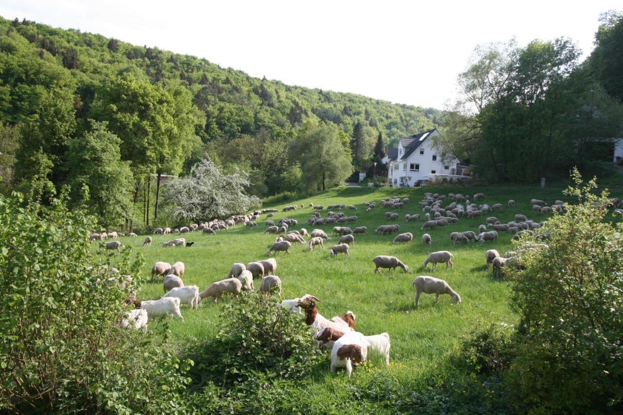 B&B Arlesbrunnen Egloffstein Eksteriør bilde